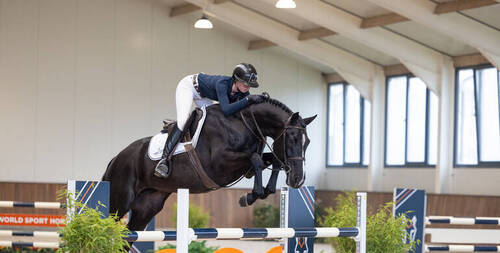 Culiko EB (Casall x Colman)